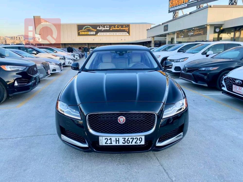 جاكوار XF